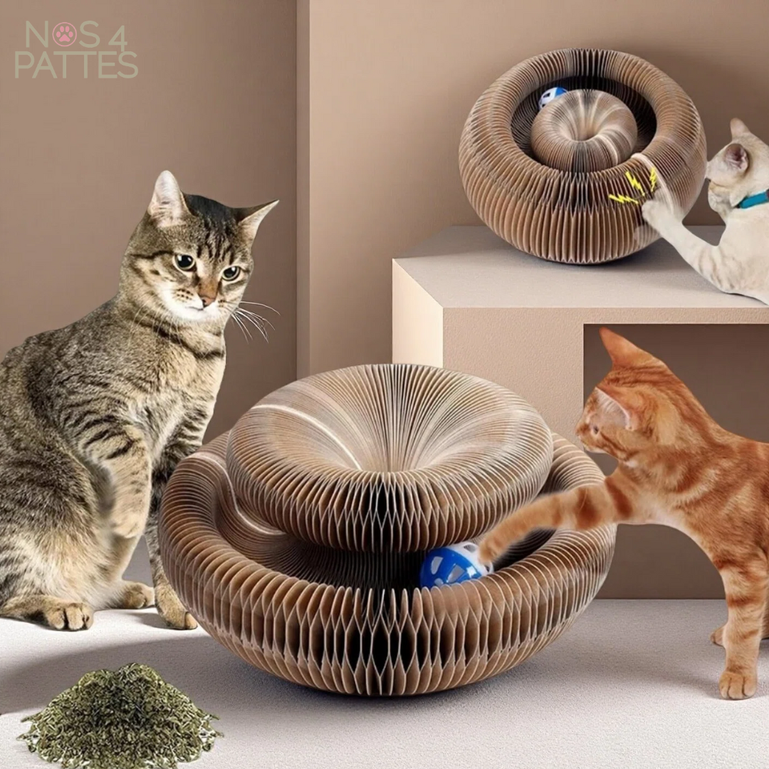 jouet chat nos 4 pattes