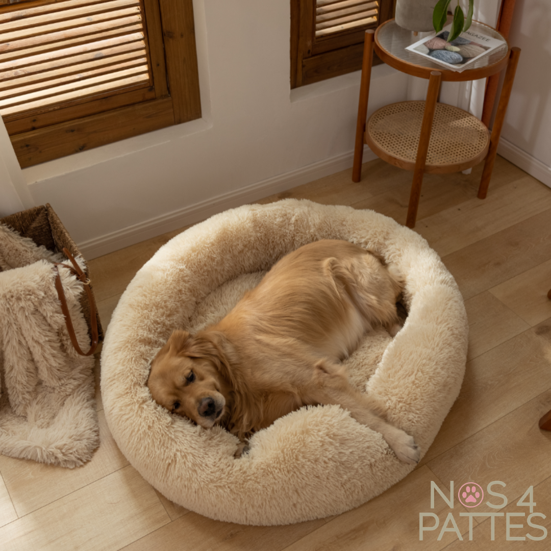 coussin nos 4 pattes 