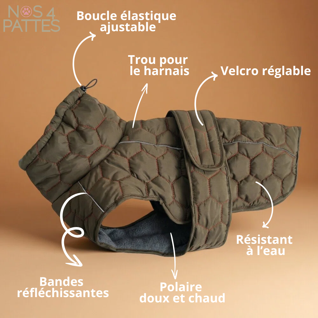 manteau chien NOS 4 PATTES