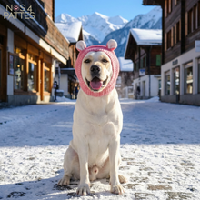 Charger l'image dans la galerie, bonnet chien NOS 4 PATTES
