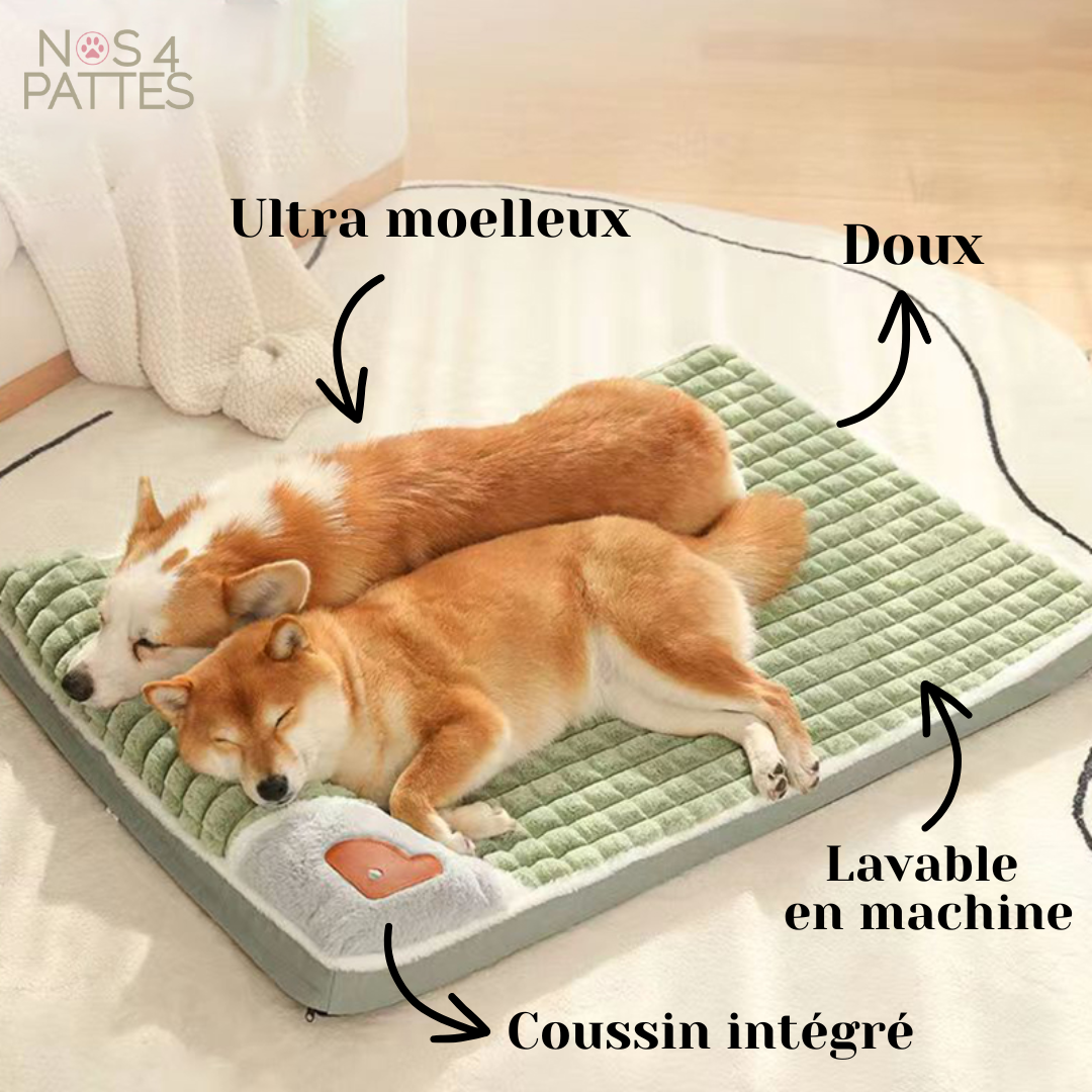 lit chien moelleux nos 4 pattes