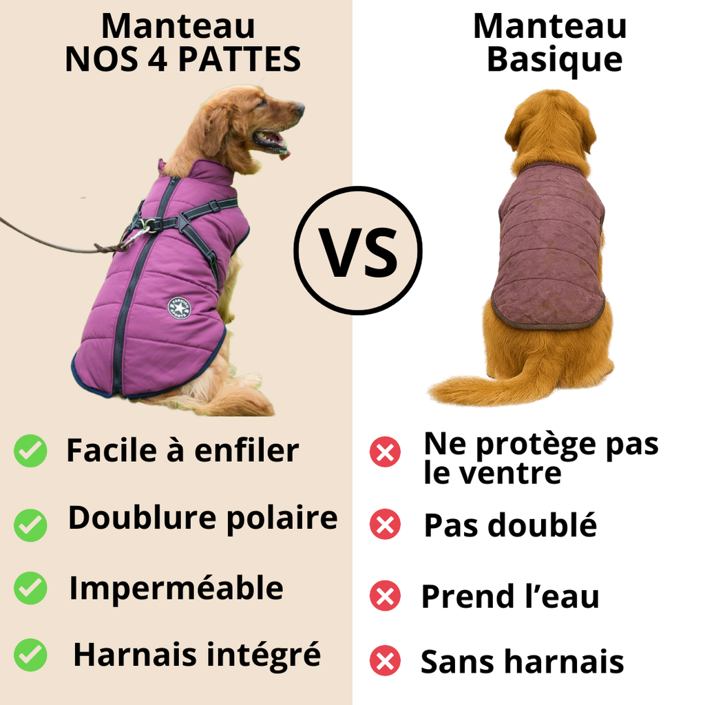 avantages manteau chien