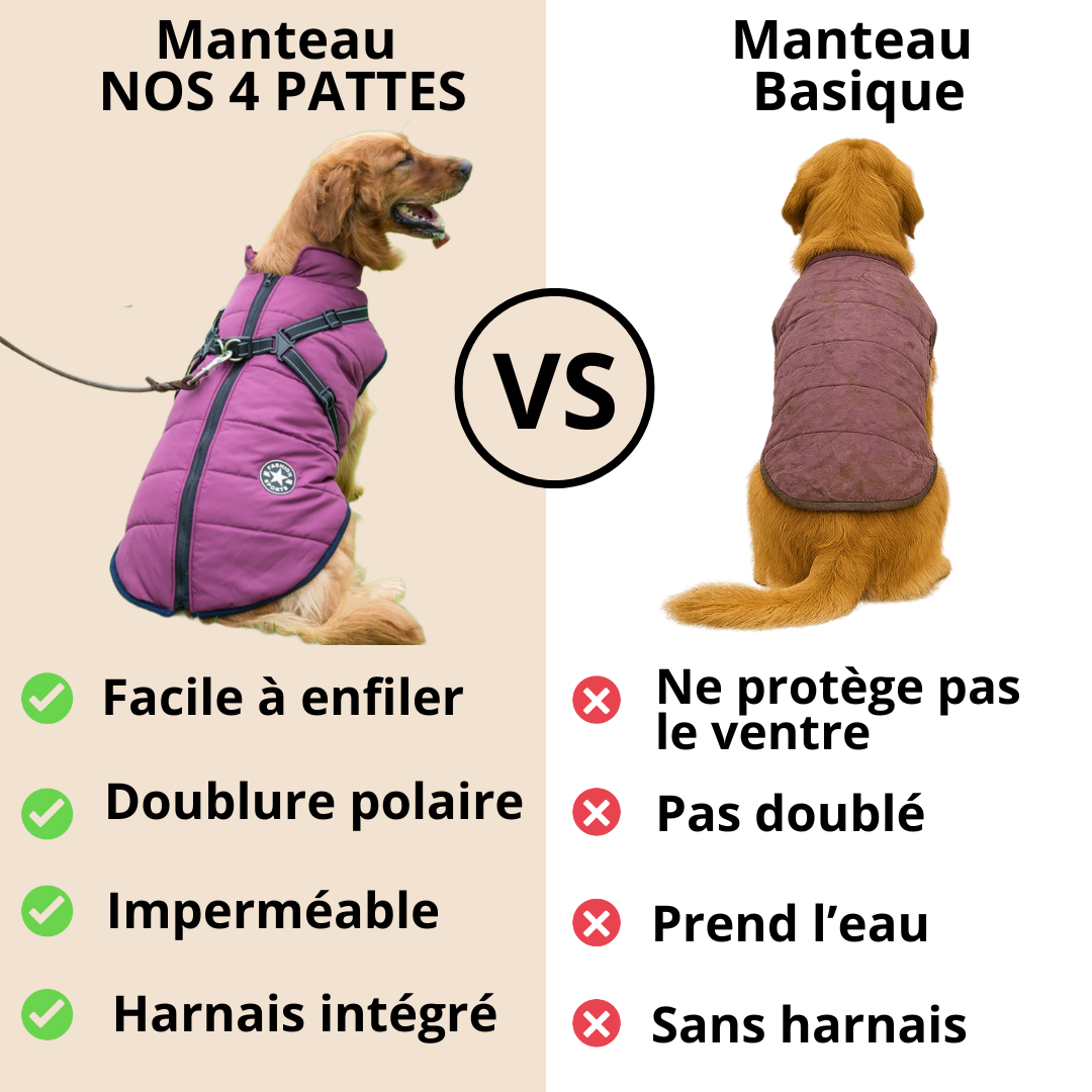 avantages manteau chien