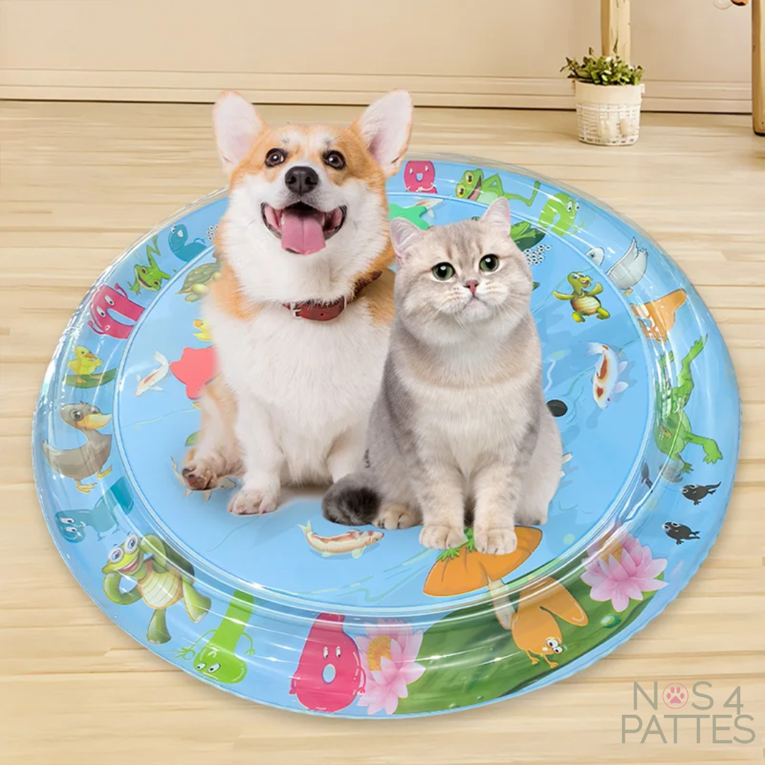 tapis jeu chat chien