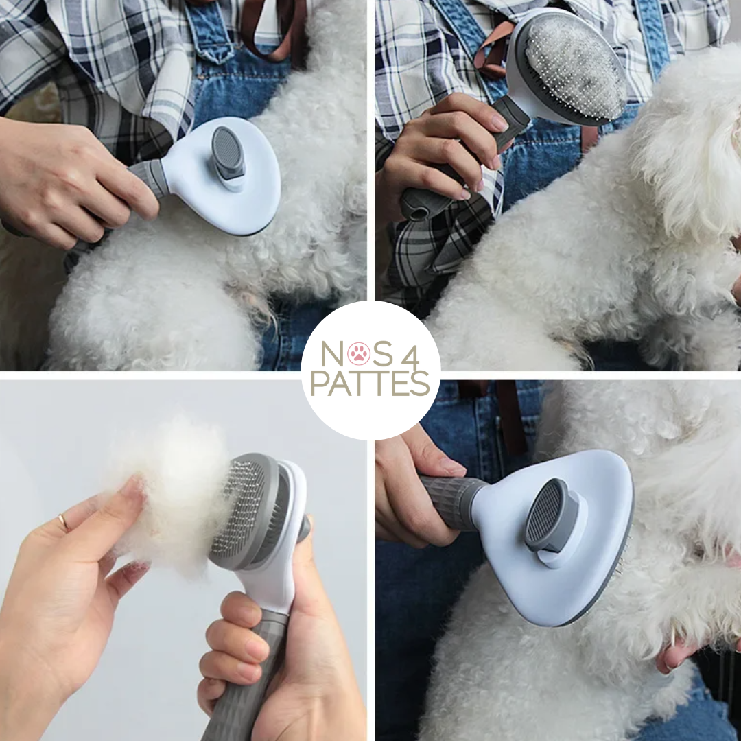 brosse chien chat nos 4 pattes