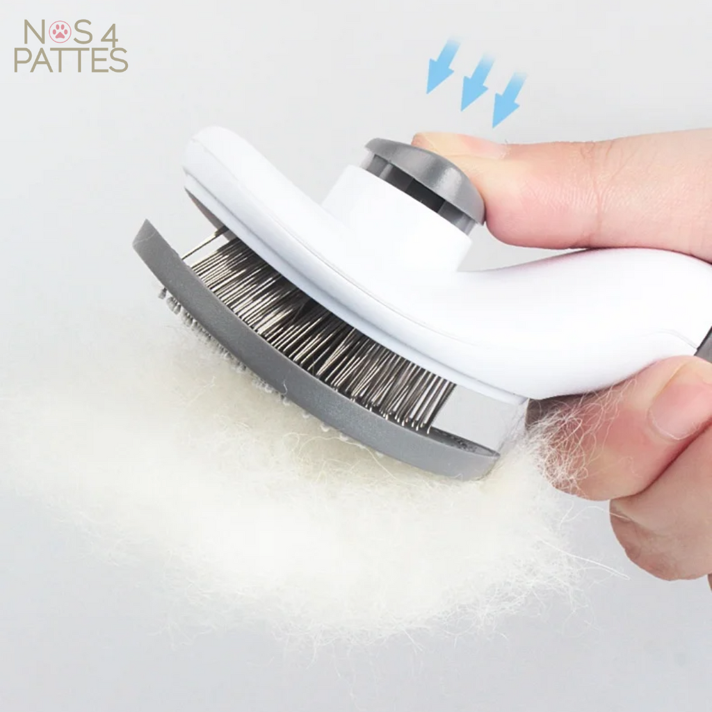 brosse chien chat nos 4 pattes