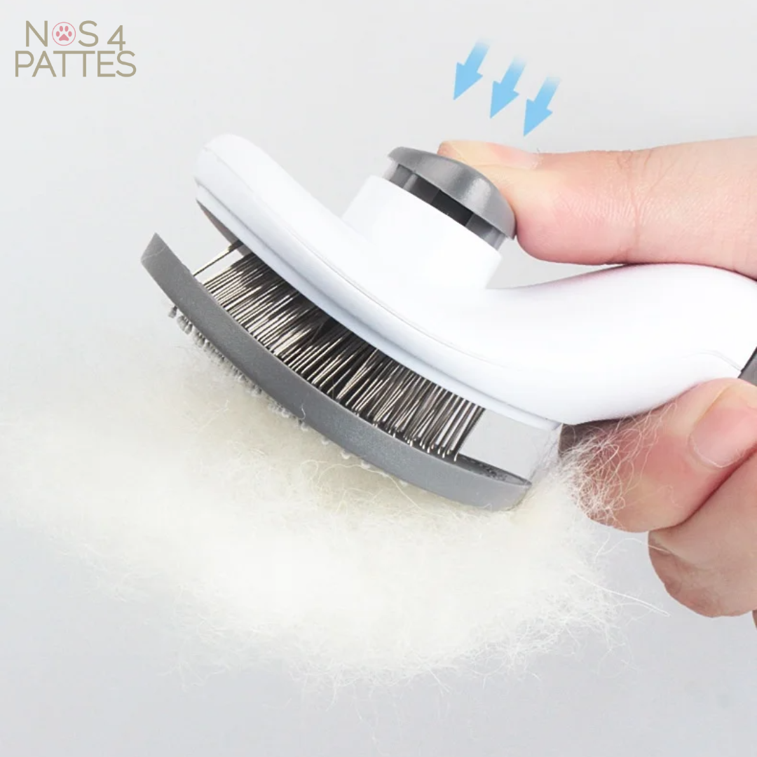 brosse chien chat nos 4 pattes