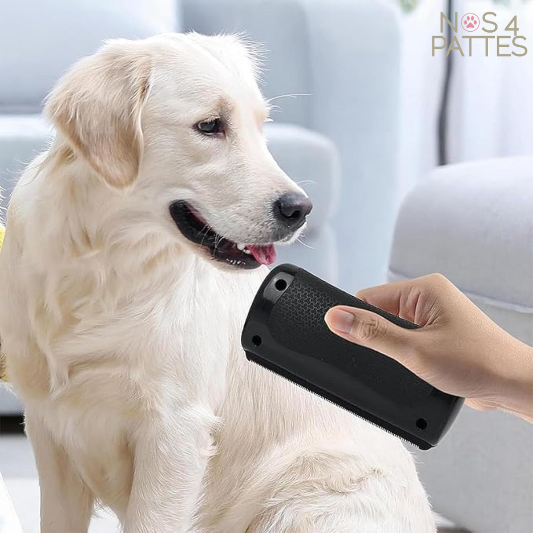 Brosse anti-mue pour chat et chien