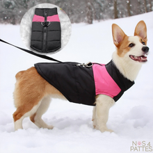 Charger l&#39;image dans la galerie, manteau chien rose et noir

