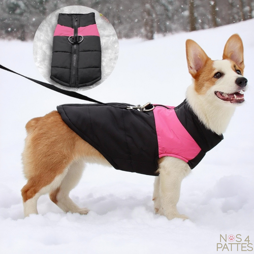 manteau chien rose et noir