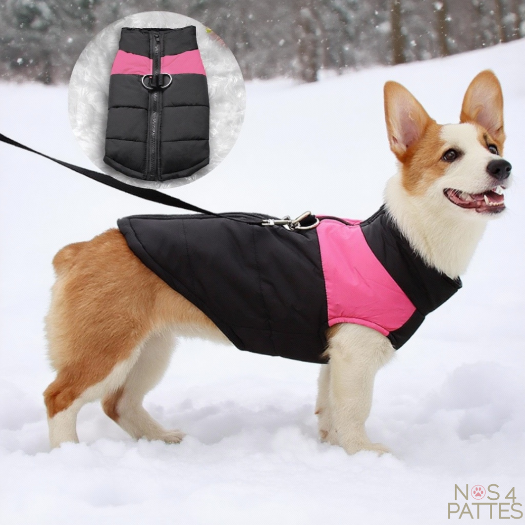 manteau chien rose et noir