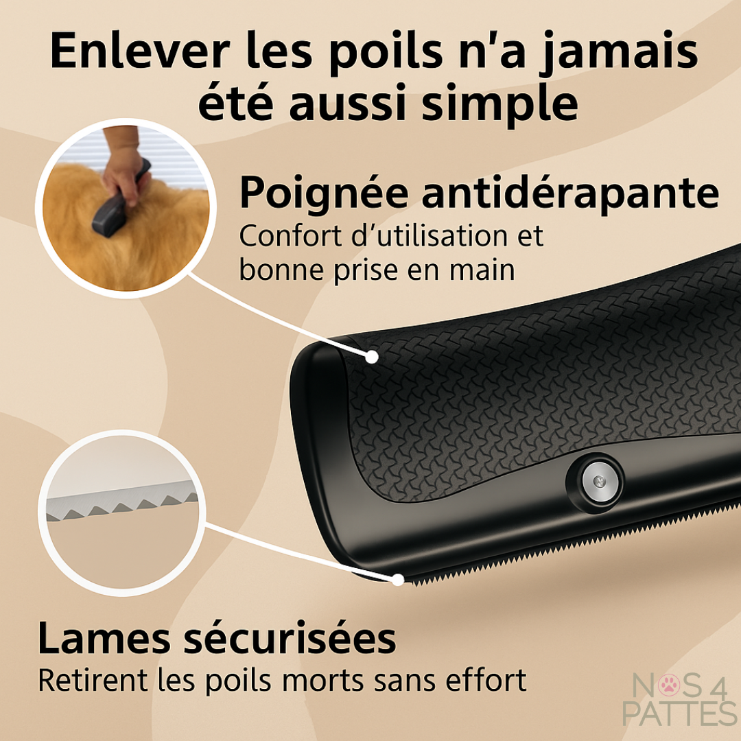 caracteristiques brosse