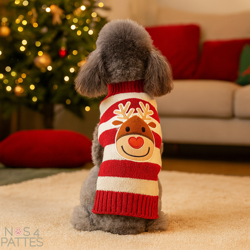 pull cerf chien