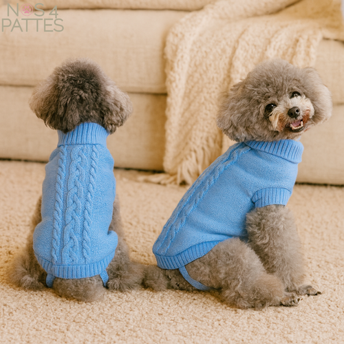 tricot chien hivers