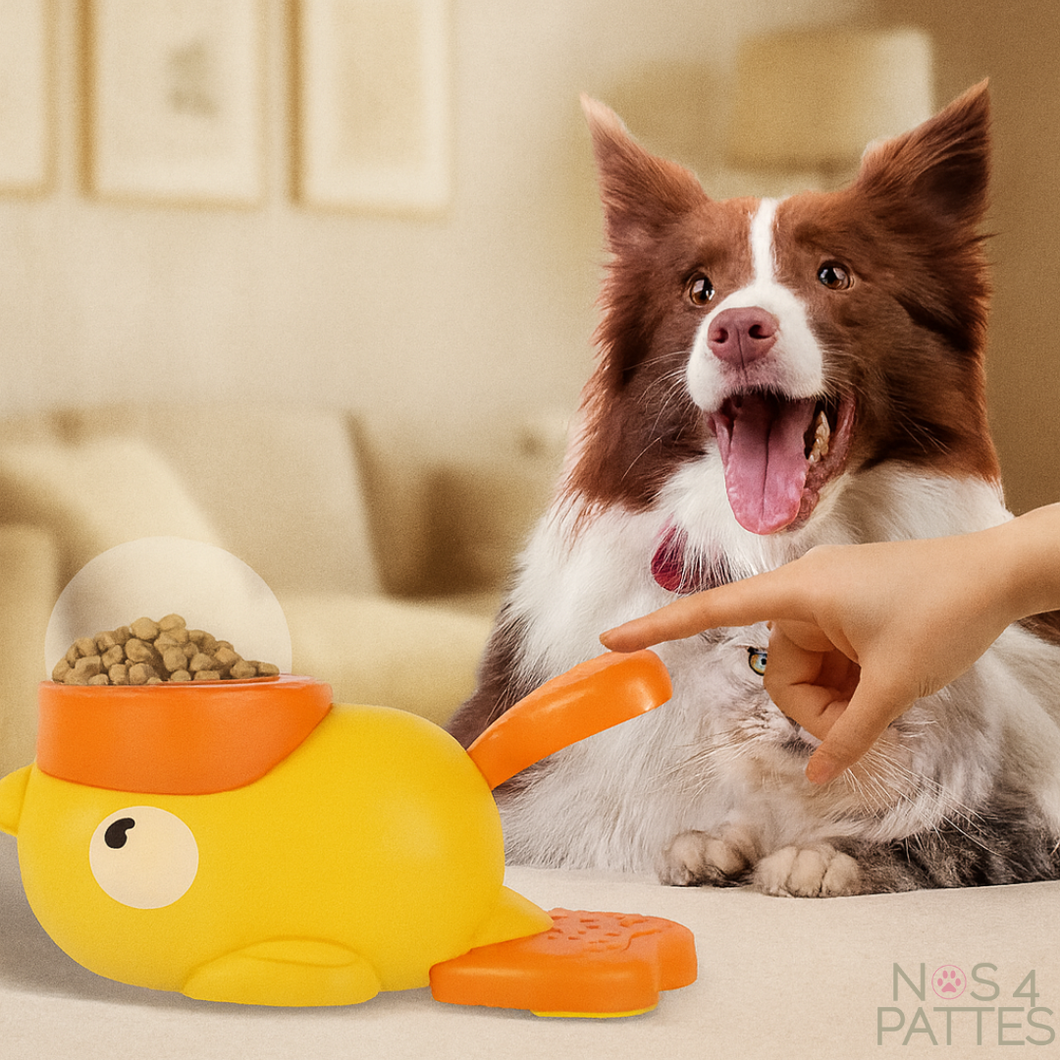 jouets croquettes chien