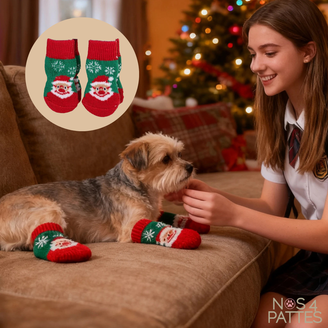 chaussettes chien noel