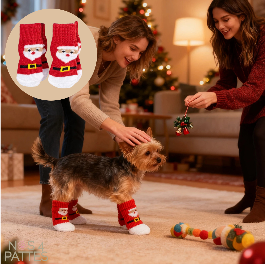 chaussettes chien noel