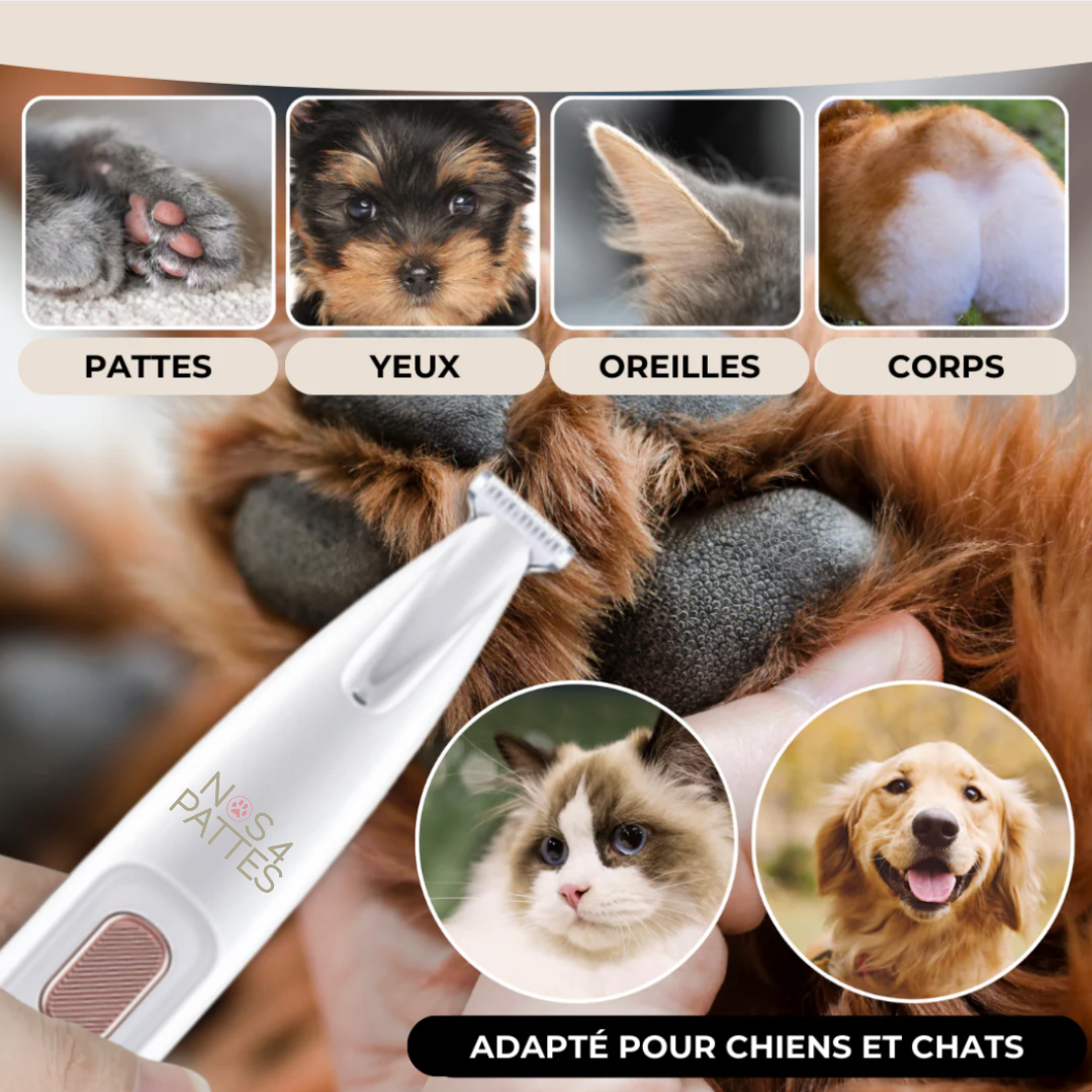 usage tondeuse