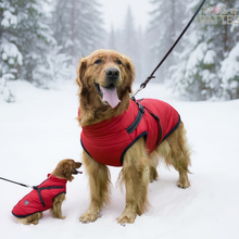 Charger l&#39;image dans la galerie, manteau chien rouge
