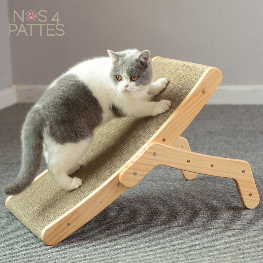 Griffoir balançoire pour chat
