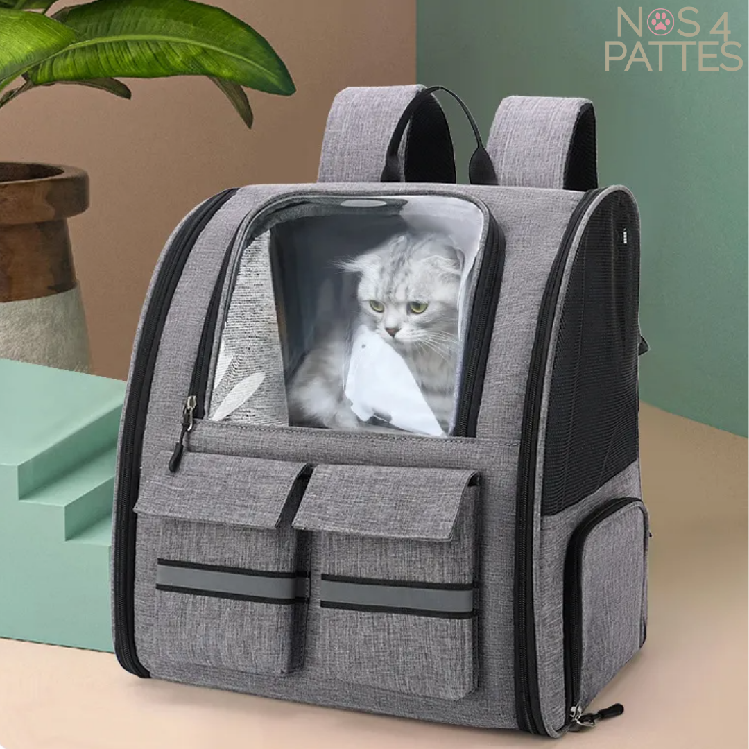 sac chien chat avec roulettes