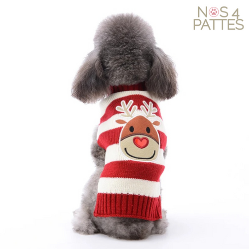 tricot chien chat noël