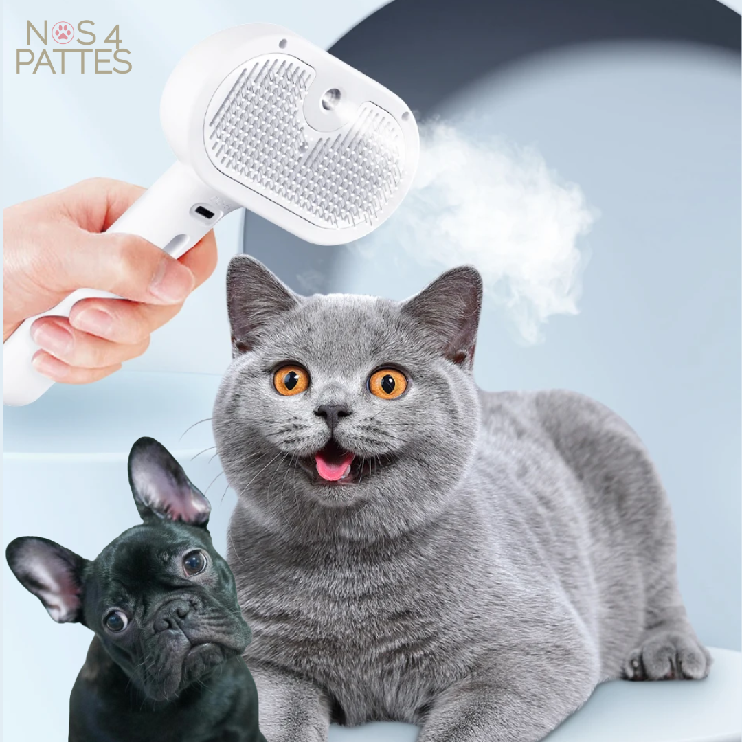 brosse chat chien à vapeur 
