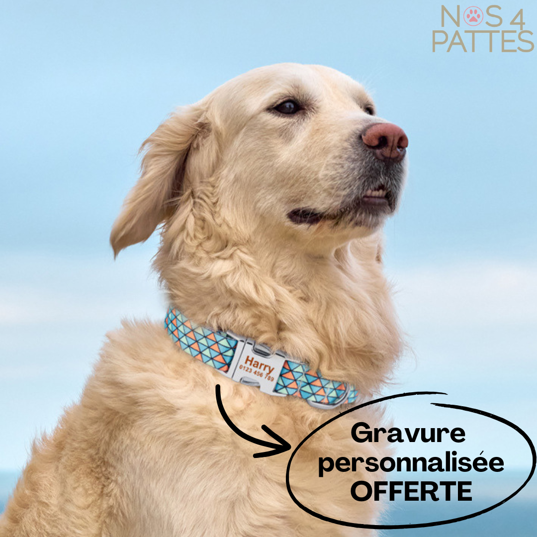 Collier personnalisé pour chien & chat – Gravure offerte & confort premium