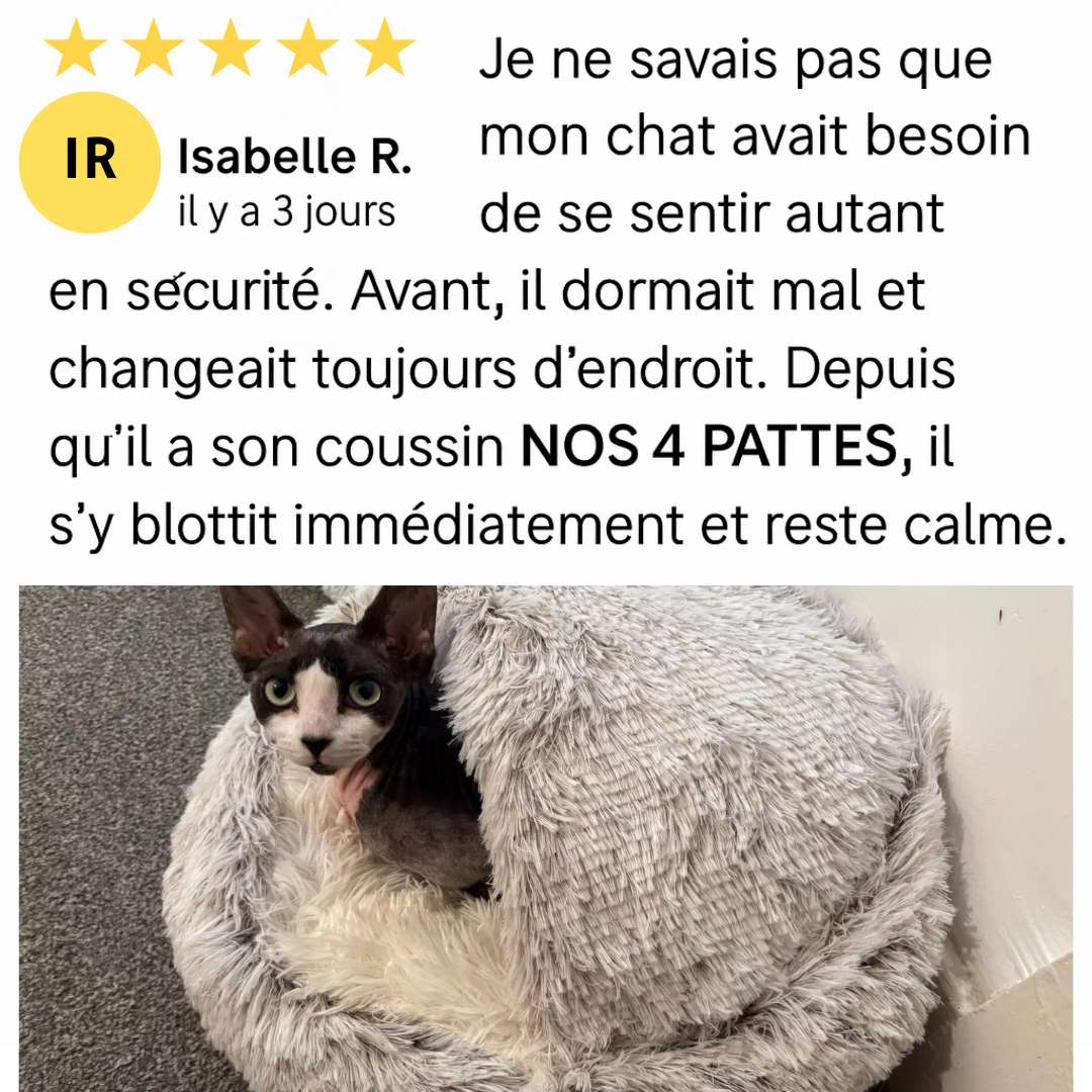 avis cliet