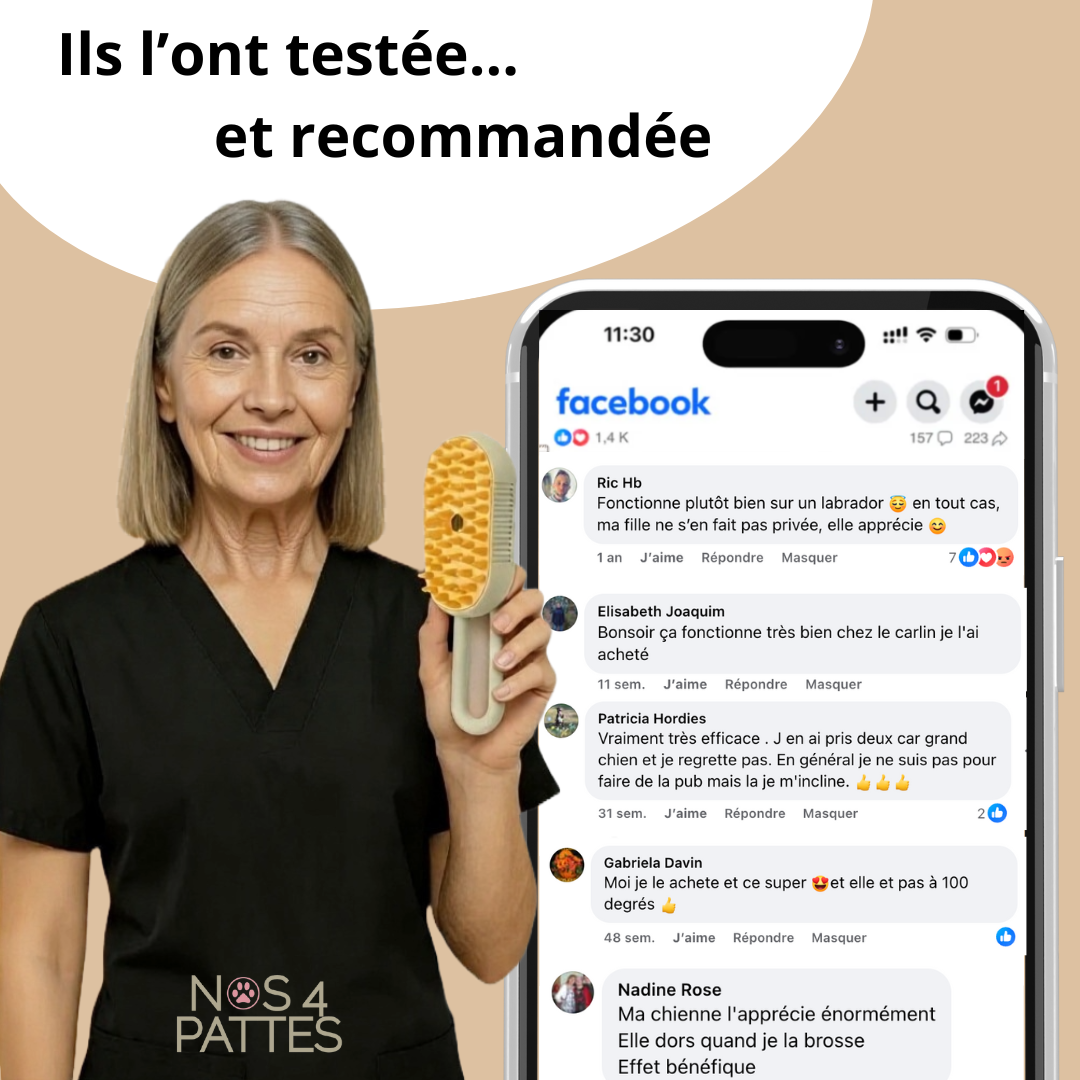 avis client