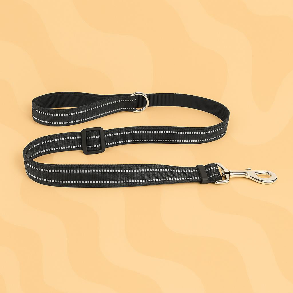 laisse chien details