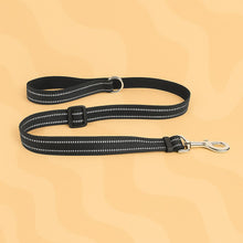 Charger l&#39;image dans la galerie, laisse chien details
