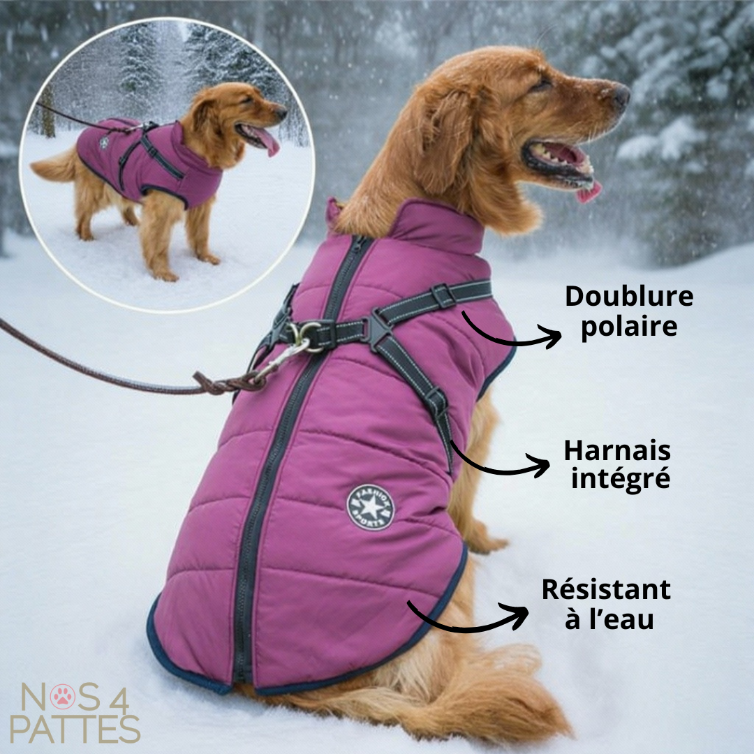manteau violet