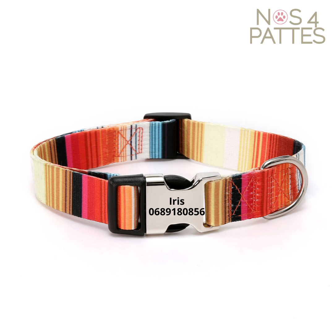 Collier personnalisé pour chien & chat – Gravure offerte & confort premium