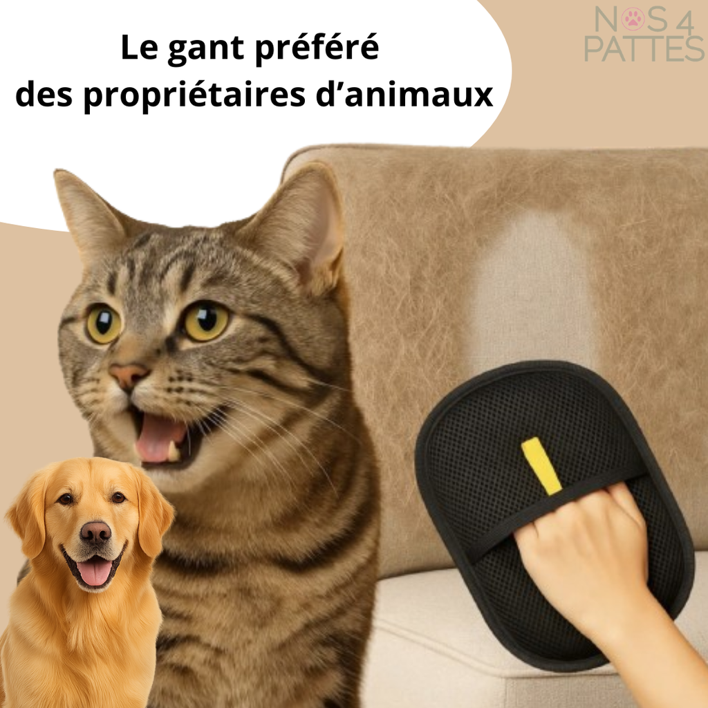 Gant anti-poils magique réutilisable pour chien & chat