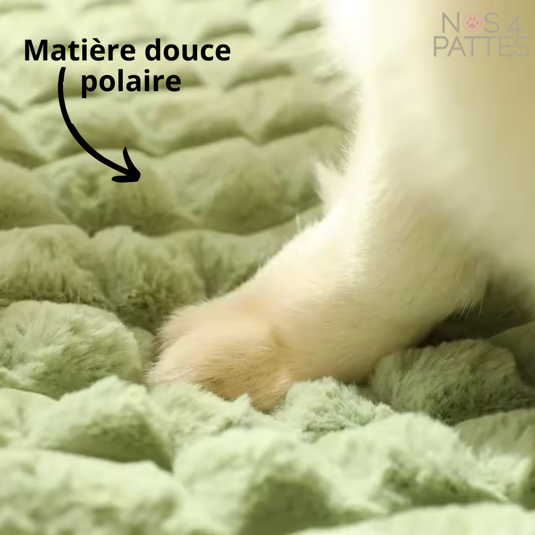 matière polaire