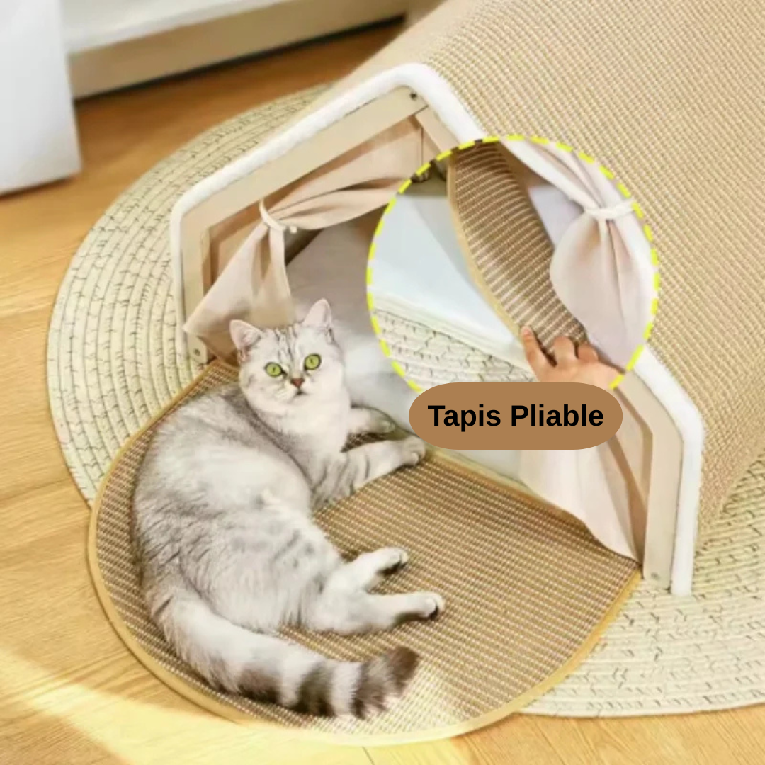 Maison cocon pour chat avec griffoir intégré – Nid confortable & sécurisé