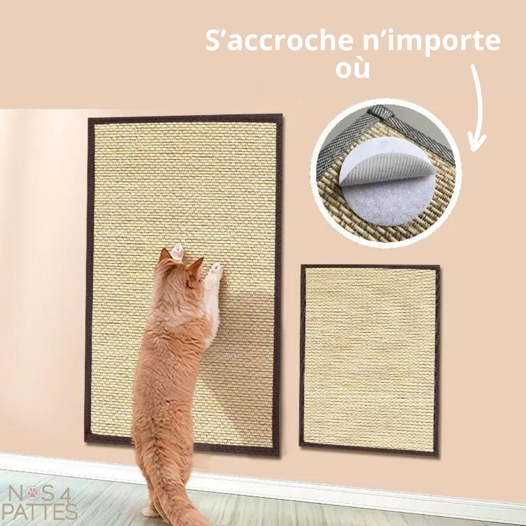 Griffoir mural en bambou pour chat – Protège vos meubles & ultra résistant