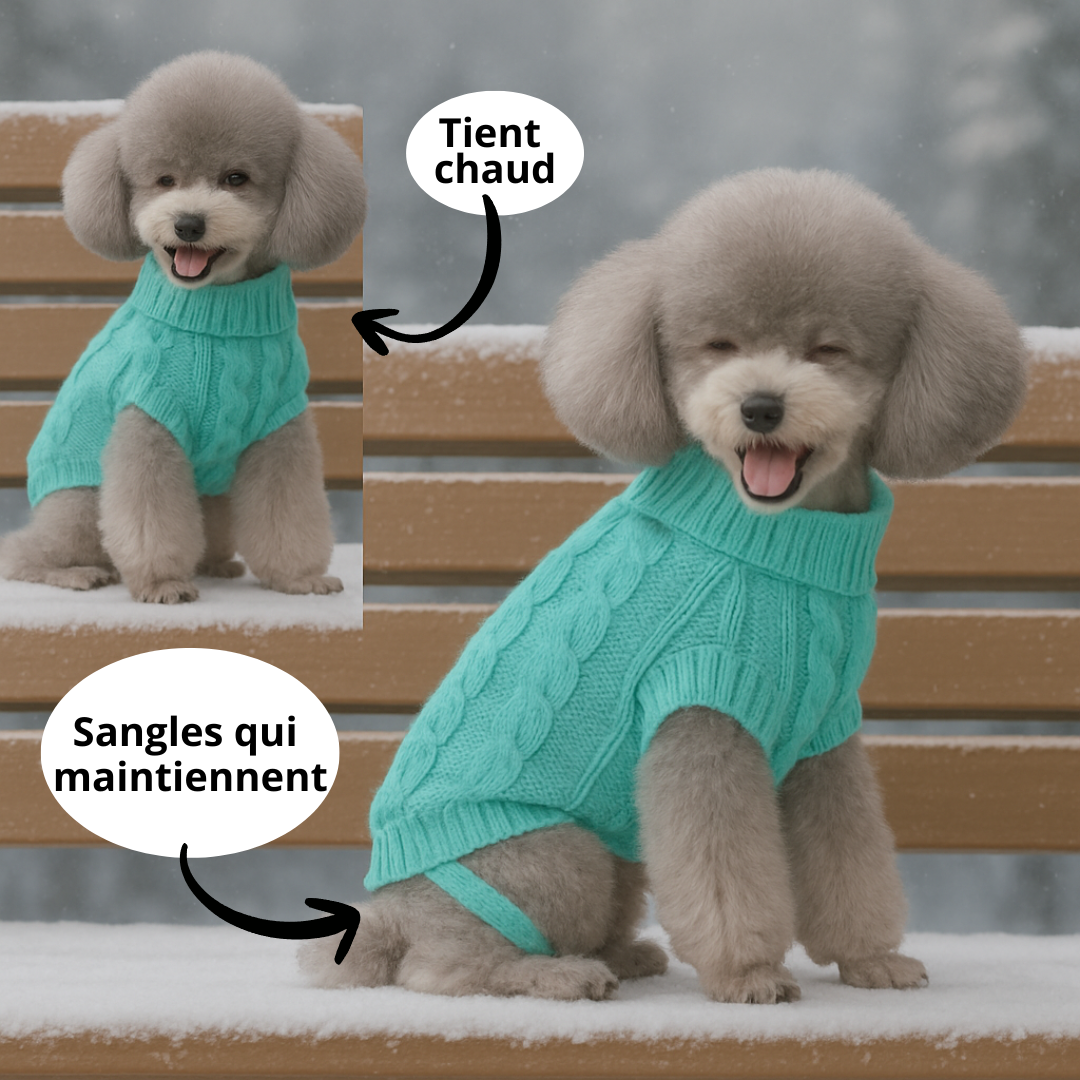 tricot chien