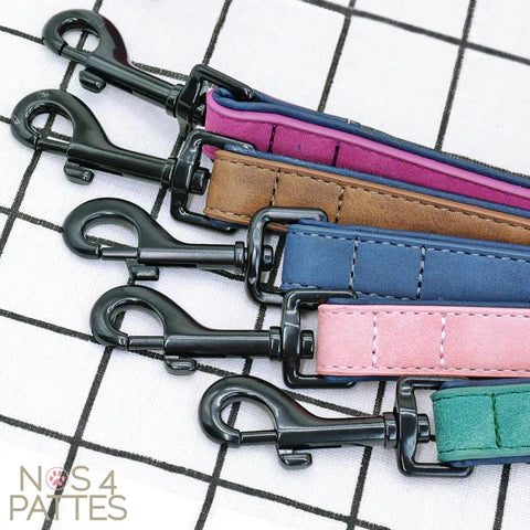 Collier et laisse personnalisés en simili cuir avec nom et N° de téléphone