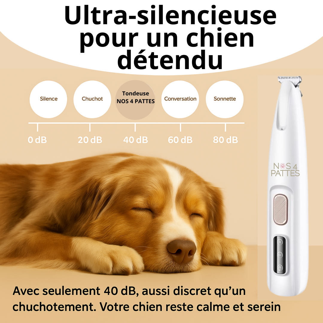 silencieuse