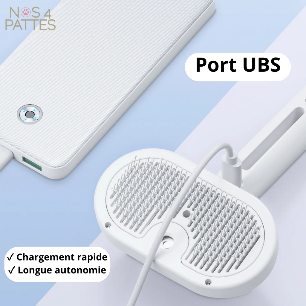 brosse chat chien à vapeur 