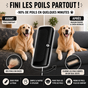 brosse chien