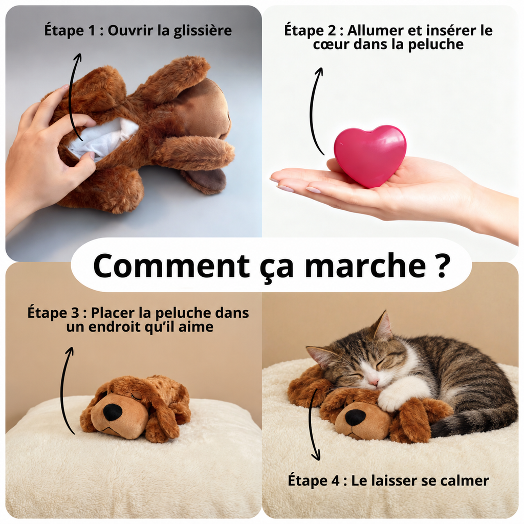 Peluche apaisante pour chat – Confort et sécurité émotionnelle