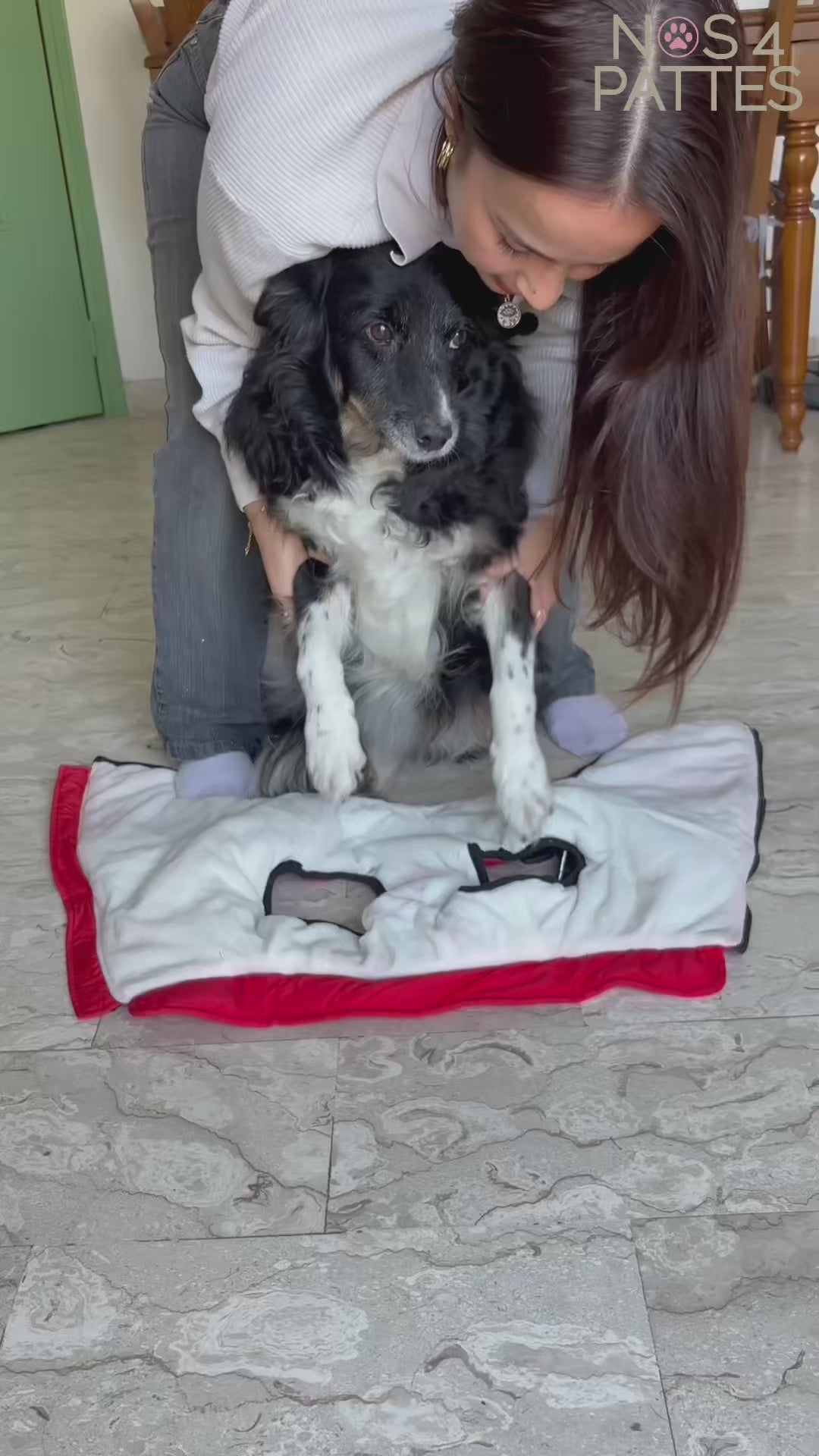 Vidéo