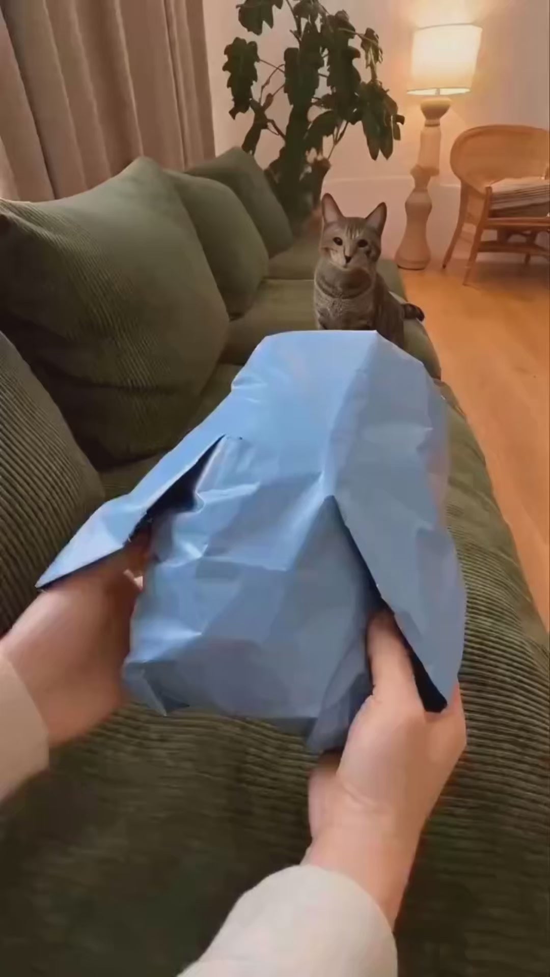 Vidéo