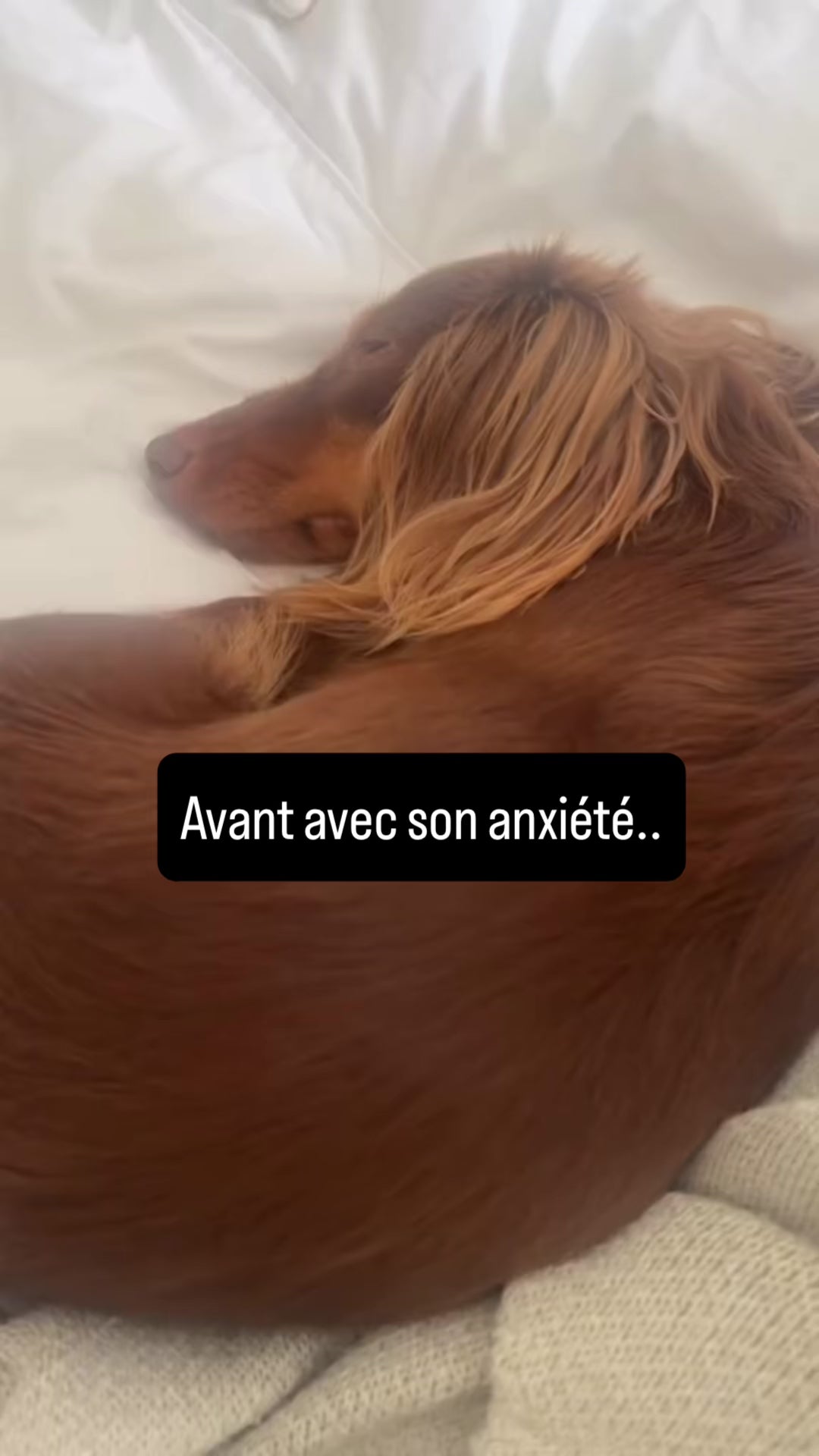 Vidéo