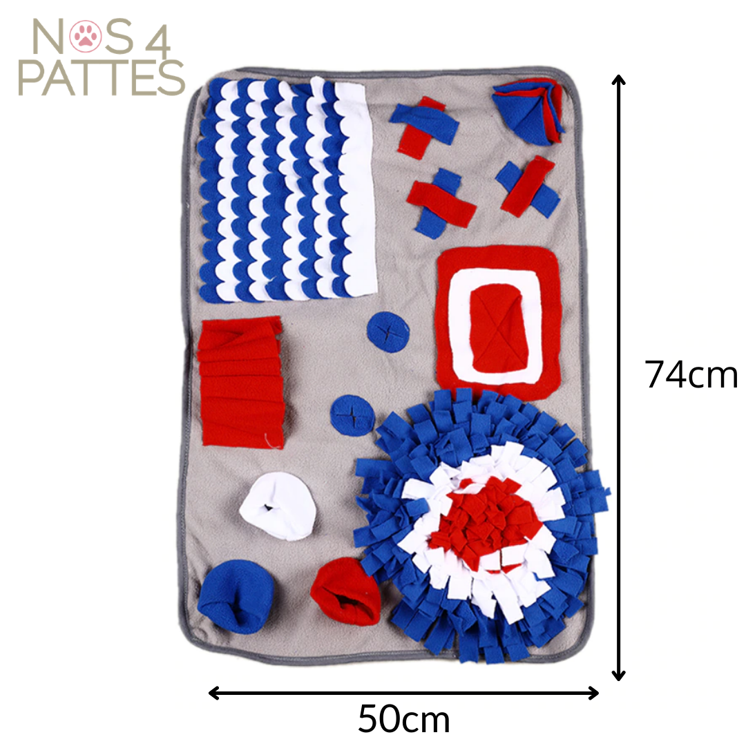 tapis de fouilles dimensions