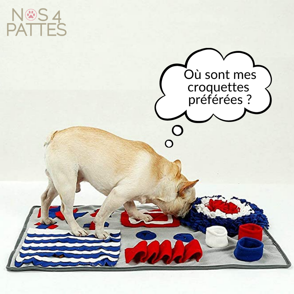 tapis de fouille nos 4 pattes
