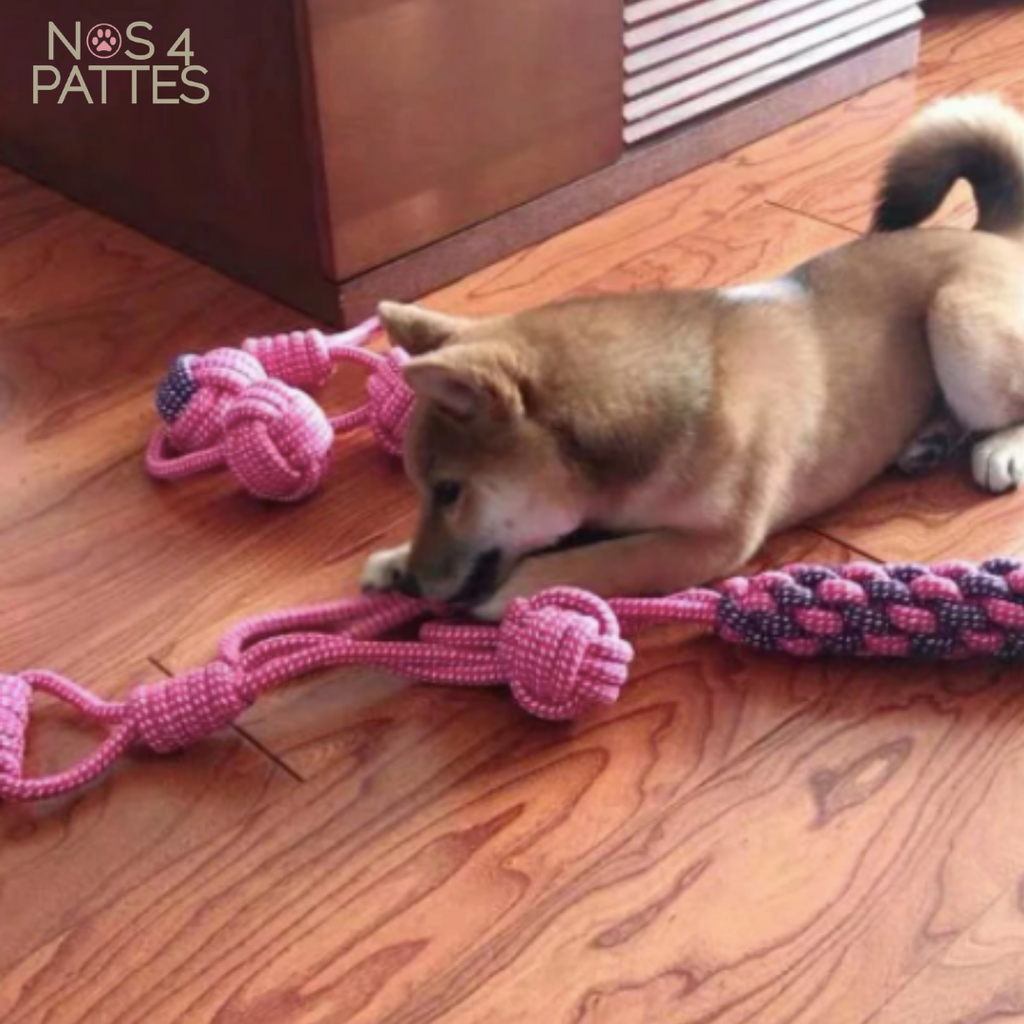 jouet en corde noeud à mâcher pour chien nos 4 pattes